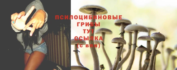 гидропоника Абаза