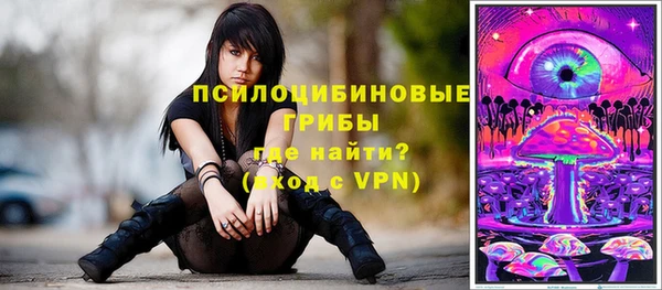 хмурый Абинск