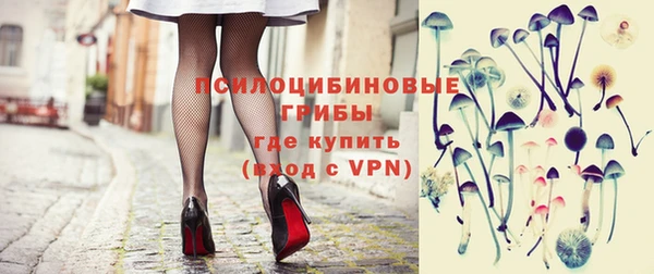 гидропоника Абаза