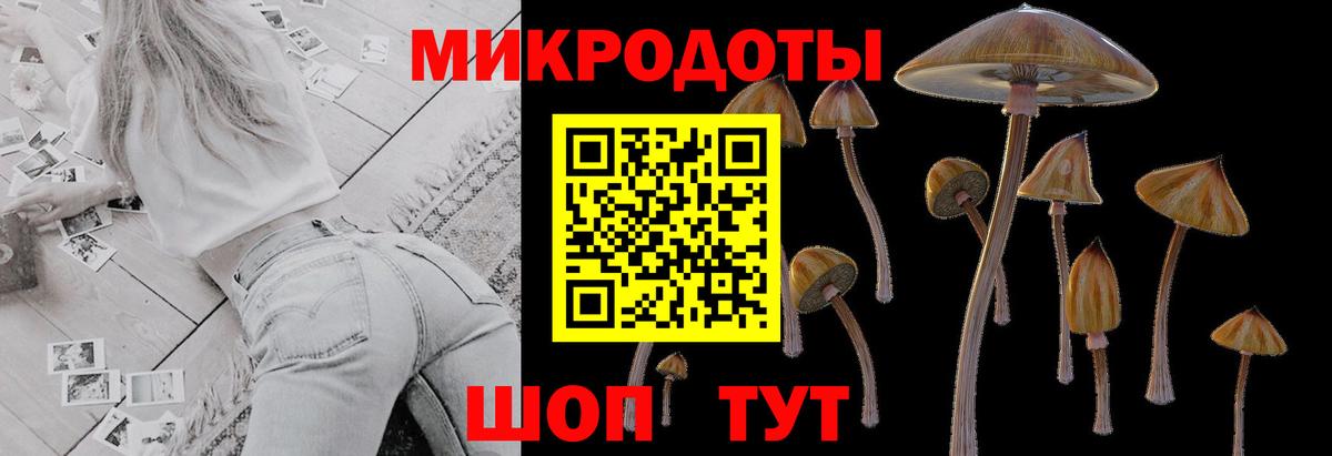 Псилоцибиновые грибы мухоморы  Вход с VPN  Химки 