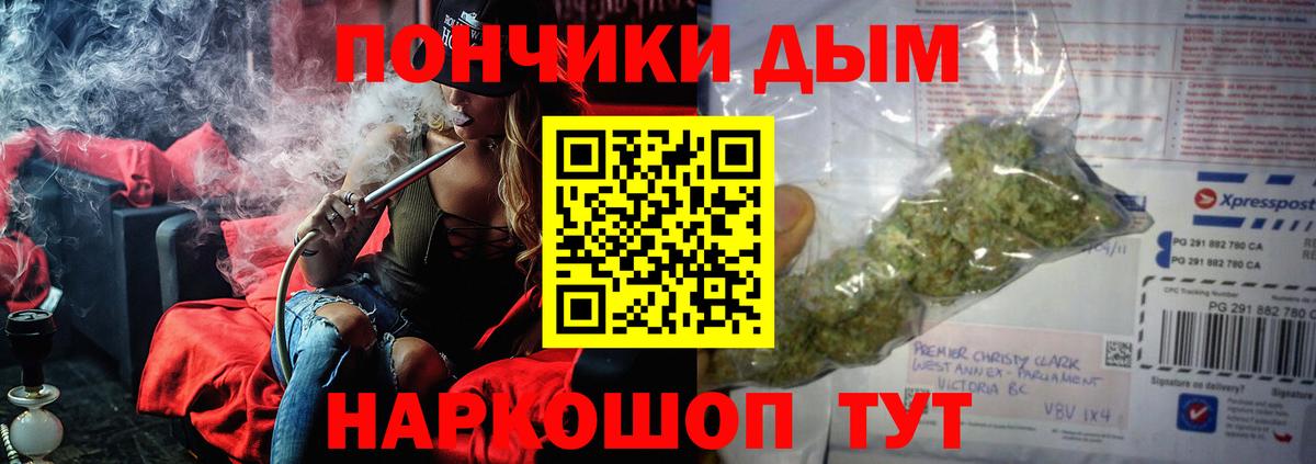 Шишки марихуана индика  Шишки марихуана конопля  Бошки Шишки план  Химки  Вход с VPN 